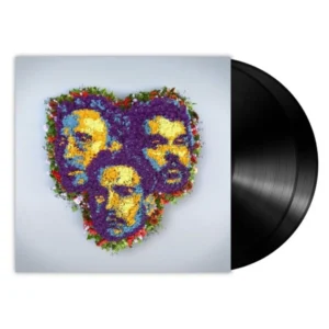 Goldband - Betaalbare Romantiek (2LP)