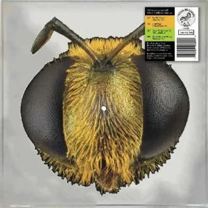 King Gizzard & The Lizard Wizard - Big Fig Wasp (12″ Shaped RSD 2026 Vinyl)