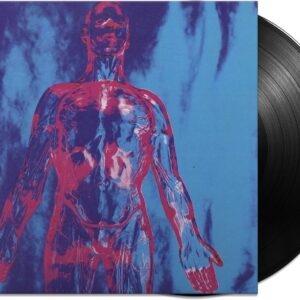 Nirvana - Sliver (New 7" Single)