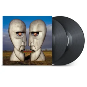 Pink Floyd - Division Bell (2LP Zwart Vinyl)