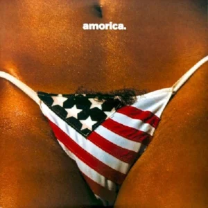 The Black Crowes - Amorica (2 LP Zwart Vinyl)