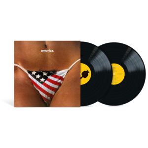 The Black Crowes - Amorica (2LP Zwart Vinyl) (180gr Remastered incl 3 B-sides)